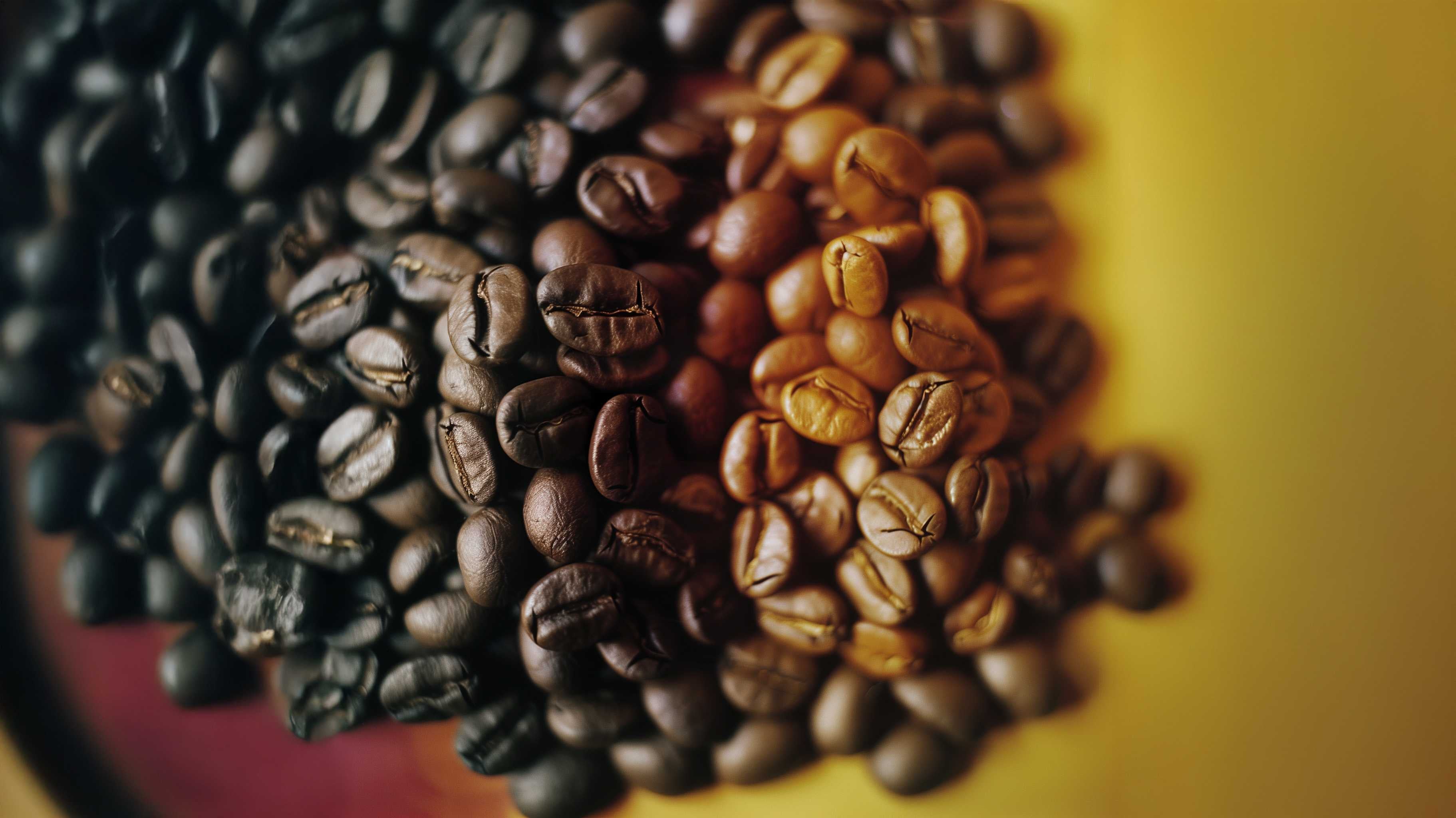 Roasted coffee beans in various shades on a blurred background